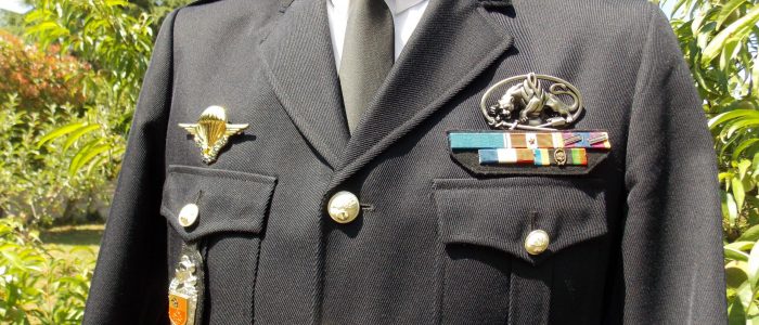 64 - LIEUTENANT-COLONEL Région Gie Languedoc-Roussillon CARCASSONNE - 2